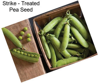 Strike - Treated Pea Seed