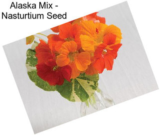 Alaska Mix - Nasturtium Seed