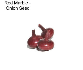 Red Marble - Onion Seed