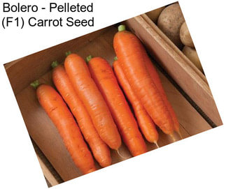 Bolero - Pelleted (F1) Carrot Seed