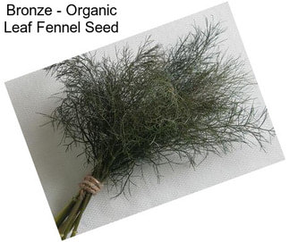 Bronze - Organic Leaf Fennel Seed