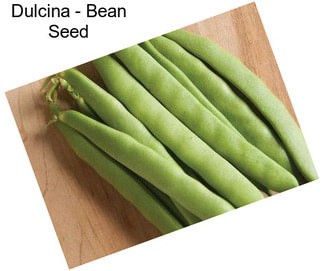 Dulcina - Bean Seed