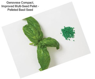 Genovese Compact, Improved Multi-Seed Pellet - Pelleted Basil Seed