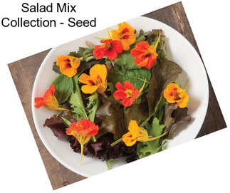 Salad Mix Collection - Seed