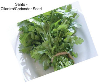 Santo - Cilantro/Coriander Seed