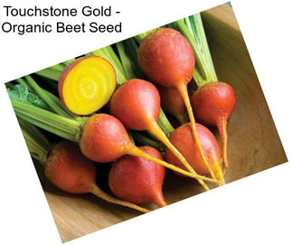 Touchstone Gold - Organic Beet Seed