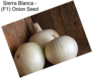 Sierra Blanca - (F1) Onion Seed