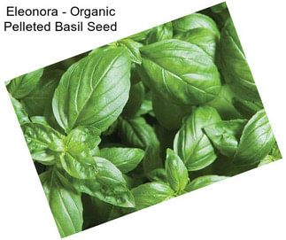 Eleonora - Organic Pelleted Basil Seed