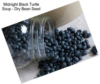 Midnight Black Turtle Soup - Dry Bean Seed