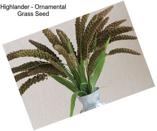 Highlander - Ornamental Grass Seed