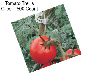 Tomato Trellis Clips – 500 Count