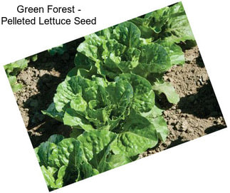 Green Forest - Pelleted Lettuce Seed