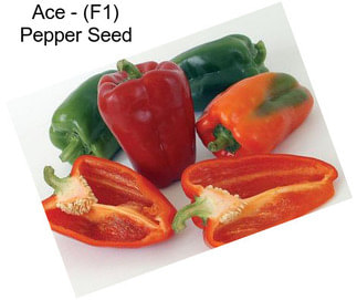 Ace - (F1) Pepper Seed