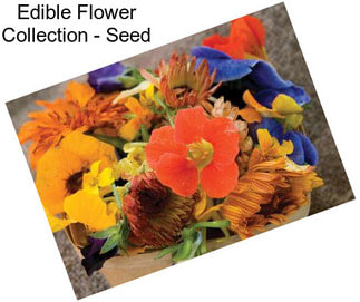 Edible Flower Collection - Seed