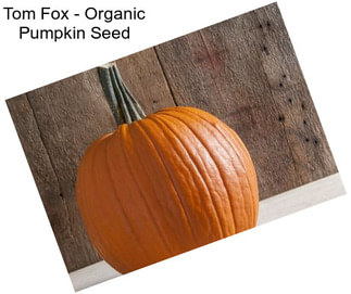 Tom Fox - Organic Pumpkin Seed