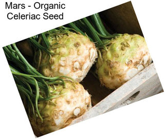 Mars - Organic Celeriac Seed