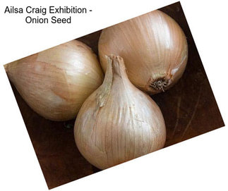 Ailsa Craig Exhibition - Onion Seed