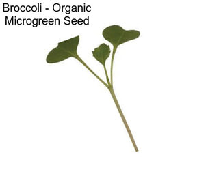 Broccoli - Organic Microgreen Seed
