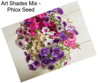 Art Shades Mix - Phlox Seed