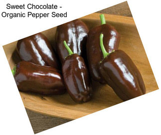 Sweet Chocolate - Organic Pepper Seed