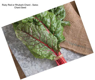 Ruby Red or Rhubarb Chard - Swiss Chard Seed