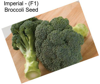 Imperial - (F1) Broccoli Seed
