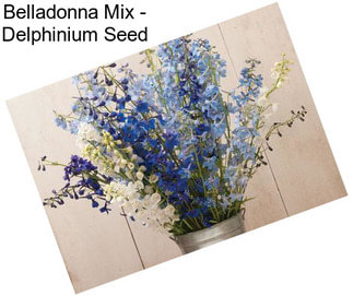 Belladonna Mix - Delphinium Seed