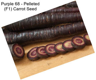 Purple 68 - Pelleted (F1) Carrot Seed