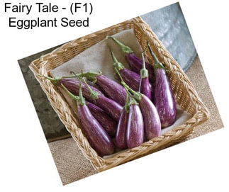 Fairy Tale - (F1) Eggplant Seed