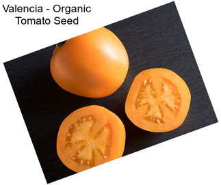 Valencia - Organic Tomato Seed