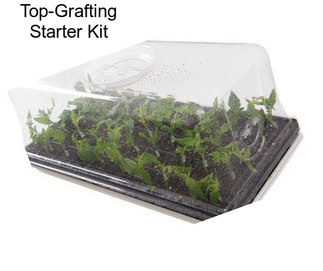 Top-Grafting Starter Kit