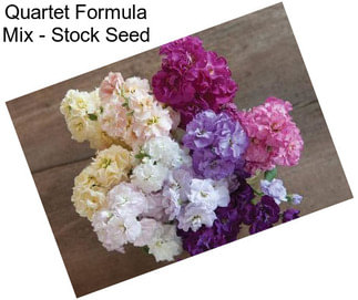 Quartet Formula Mix - Stock Seed