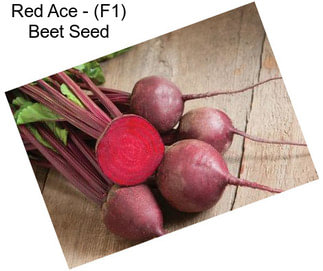 Red Ace - (F1) Beet Seed