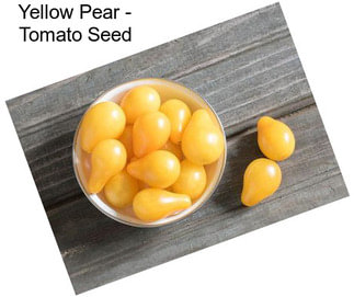 Yellow Pear - Tomato Seed