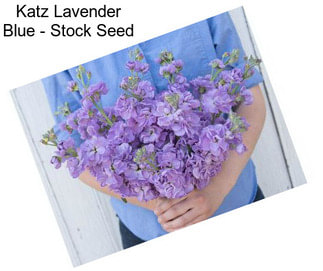 Katz Lavender Blue - Stock Seed
