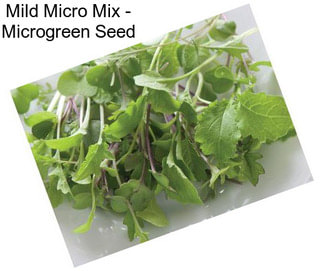 Mild Micro Mix - Microgreen Seed