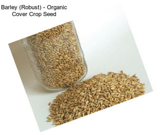 Barley (Robust) - Organic Cover Crop Seed