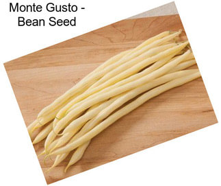 Monte Gusto - Bean Seed