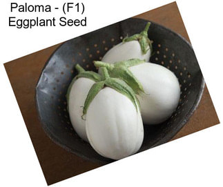 Paloma - (F1) Eggplant Seed