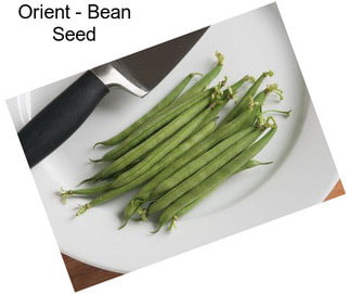 Orient - Bean Seed