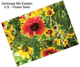 Xeriscape Mix Eastern U.S. - Flower Seed