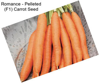 Romance - Pelleted (F1) Carrot Seed