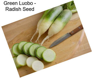 Green Luobo - Radish Seed