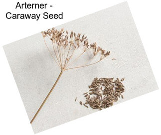 Arterner - Caraway Seed
