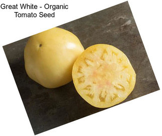 Great White - Organic Tomato Seed