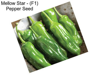 Mellow Star - (F1) Pepper Seed