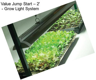 Value Jump Start – 2\' - Grow Light System