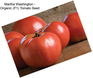 Martha Washington - Organic (F1) Tomato Seed