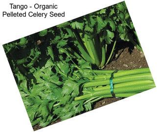 Tango - Organic Pelleted Celery Seed