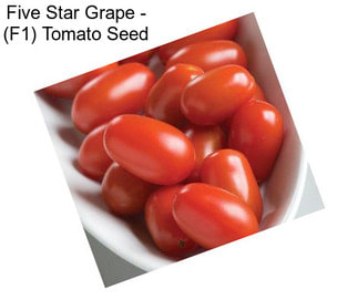 Five Star Grape - (F1) Tomato Seed